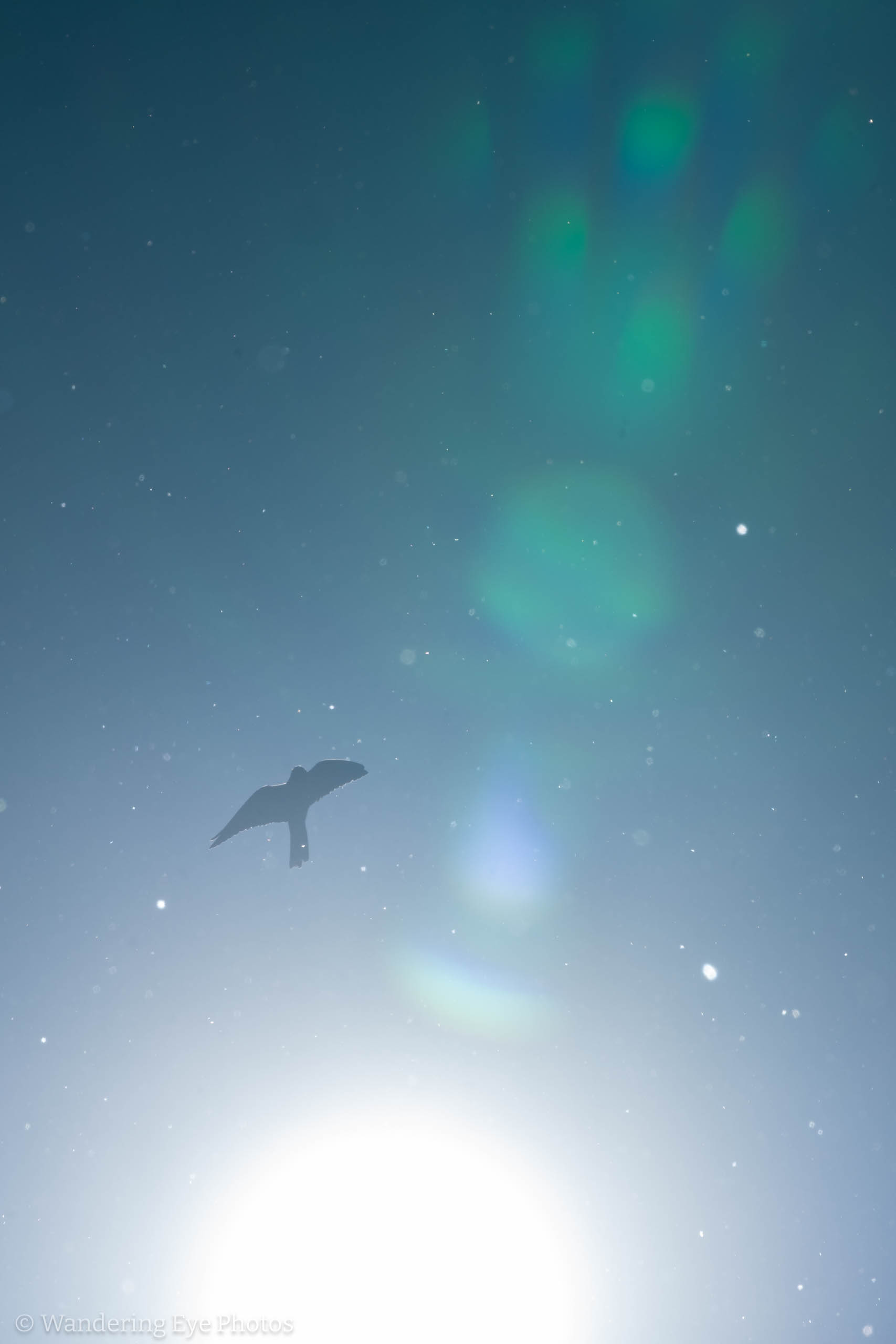 05.16 12.51.34   DSC00327